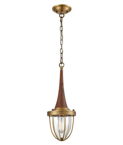 Mebalon Pendant Light - Satin Brass With Dark Wood - Boho Bliss
