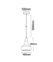 Load image into Gallery viewer, Pianta Pendant Light - Boho Bliss